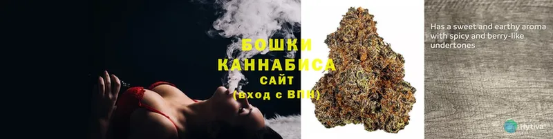 Канабис THC 21%  Кедровый 